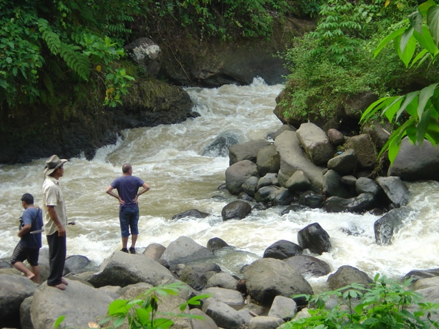 flowing falls